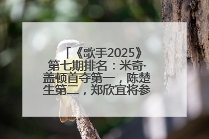 《歌手2025》第七期排名：米奇·盖顿首夺第一，陈楚生第二，郑欣宜将参加下一轮张榜赛
