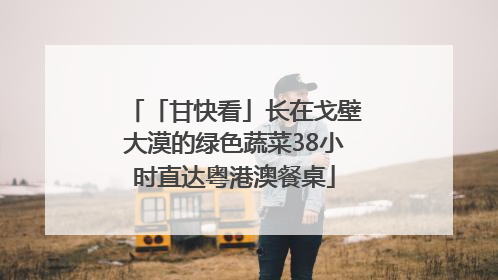 「甘快看」长在戈壁大漠的绿色蔬菜38小时直达粤港澳餐桌