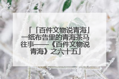 「百件文物说青海」一纸布告里的青海茶马往事——《百件文物说青海》之六十五