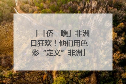 「侨一瞧」非洲日狂欢！他们用色彩“定义”非洲