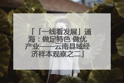 「一线看发展」通海：做足特色 做优产业——云南县域经济样本观察之二