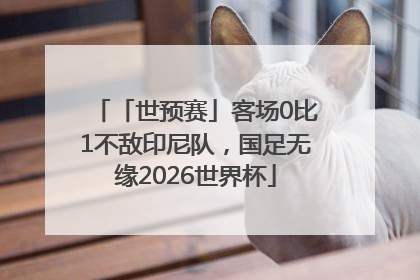 「世预赛」客场0比1不敌印尼队，国足无缘2026世界杯