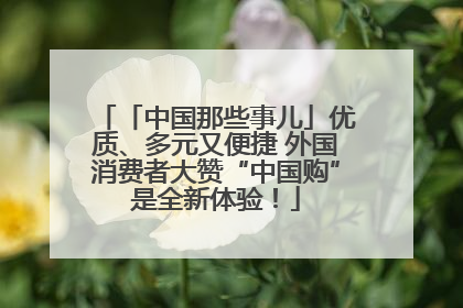 「中国那些事儿」优质、多元又便捷 外国消费者大赞“中国购”是全新体验！