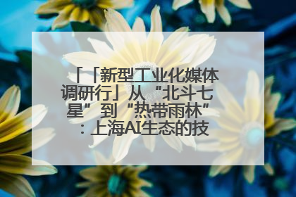 「新型工业化媒体调研行」从“北斗七星”到“热带雨林”：上海AI生态的技术商业共生密码