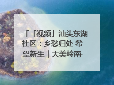 「视频」汕头东湖社区：乡愁归处 希望新生｜大美岭南·百村焕新记