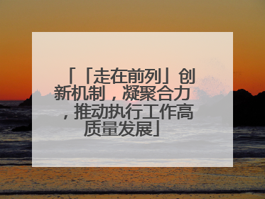 「走在前列」创新机制，凝聚合力，推动执行工作高质量发展