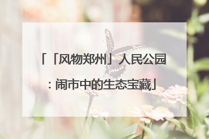 「风物郑州」人民公园：闹市中的生态宝藏