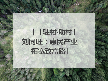 「驻村·助村」刘同旺：惠民产业拓宽致富路