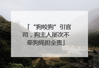 “狗咬狗”引官司，狗主人屡次不牵狗绳担全责