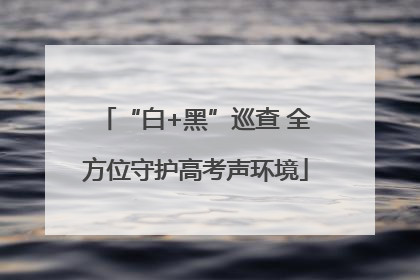 “白+黑”巡查 全方位守护高考声环境