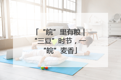 “皖”里有粮｜“三夏”时节，一“皖”麦香