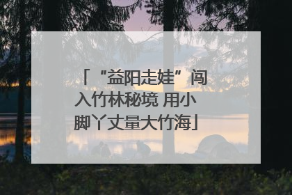 “益阳走娃”闯入竹林秘境 用小脚丫丈量大竹海