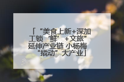 “美食上新+深加工锁‘鲜’+文旅”延伸产业链 小杨梅“撬动”大产业