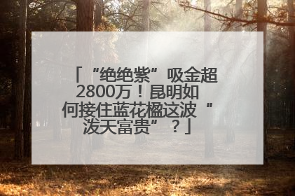 “绝绝紫”吸金超2800万！昆明如何接住蓝花楹这波“泼天富贵”？