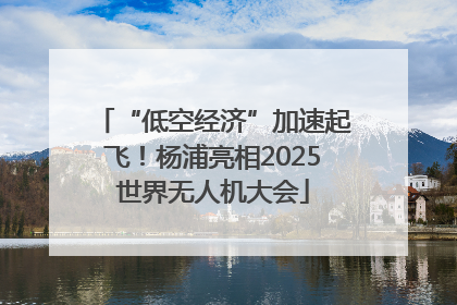 “低空经济”加速起飞！杨浦亮相2025世界无人机大会
