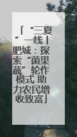 “三夏”一线丨肥城：探索“菌果蔬”轮作模式 助力农民增收致富