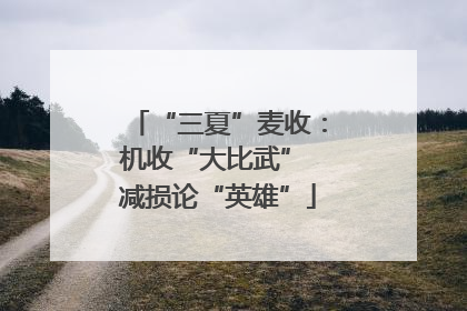 “三夏”麦收：机收“大比武” 减损论“英雄”