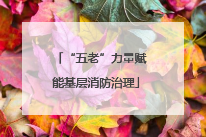 “五老”力量赋能基层消防治理