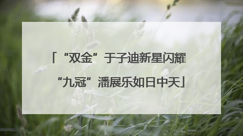 “双金”于子迪新星闪耀 “九冠”潘展乐如日中天