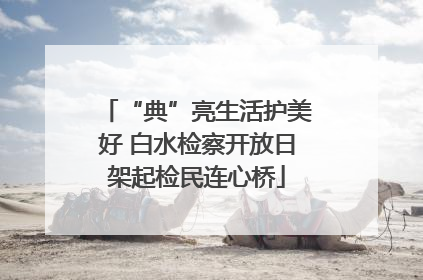“典”亮生活护美好 白水检察开放日架起检民连心桥