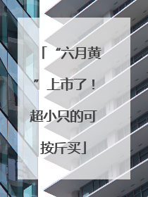 “六月黄”上市了！超小只的可按斤买