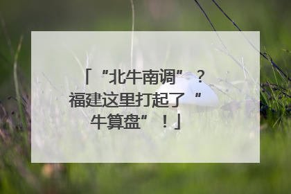 “北牛南调”？福建这里打起了“牛算盘”！
