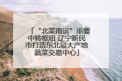 “北菜南运”重要中转枢纽 辽宁新民市打造东北最大产地蔬菜交易中心