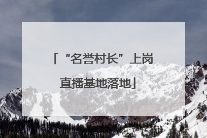 “名誉村长”上岗 直播基地落地