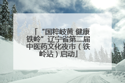 “国粹岐黄 健康铁岭”辽宁省第二届中医药文化夜市（铁岭站）启动