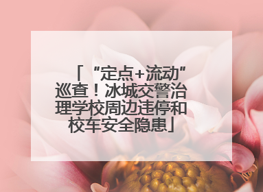 “定点+流动”巡查！冰城交警治理学校周边违停和校车安全隐患