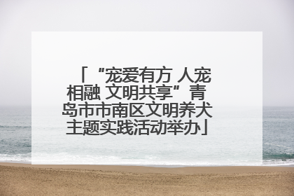 “宠爱有方 人宠相融 文明共享”青岛市市南区文明养犬主题实践活动举办