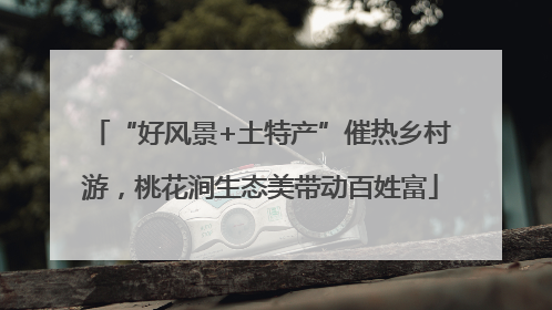 “好风景+土特产”催热乡村游，桃花涧生态美带动百姓富
