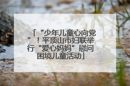 “少年儿童心向党”！平顶山市妇联举行“爱心妈妈”慰问困境儿童活动
