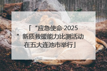 “应急使命·2025”新质救援能力比测活动在五大连池市举行