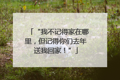 “我不记得家在哪里，但记得你们去年送我回家！”