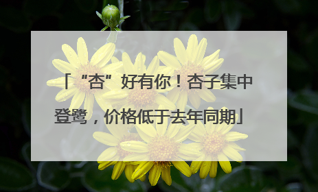 “杏”好有你！杏子集中登鹭，价格低于去年同期