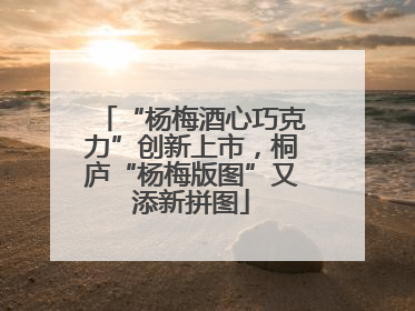 “杨梅酒心巧克力”创新上市，桐庐“杨梅版图”又添新拼图