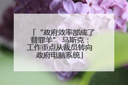 “政府效率部成了替罪羊” 马斯克：工作重点从裁员转向政府电脑系统