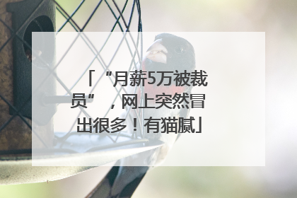 “月薪5万被裁员”，网上突然冒出很多！有猫腻