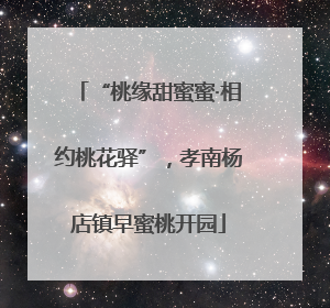 “桃缘甜蜜蜜·相约桃花驿”，孝南杨店镇早蜜桃开园