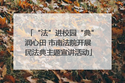 “法”进校园“典”润心田 市南法院开展民法典主题宣讲活动