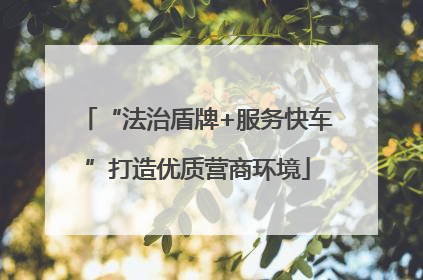 “法治盾牌+服务快车”打造优质营商环境