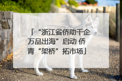 “浙江省侨助千企万品出海”启动 侨青“架桥”拓市场