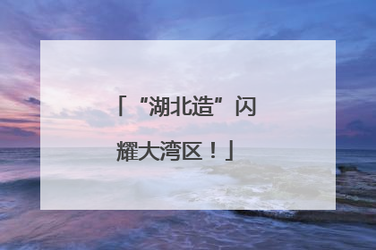 “湖北造”闪耀大湾区！
