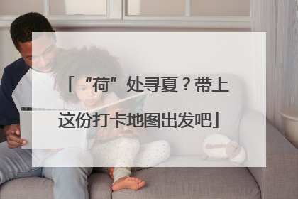 “荷”处寻夏？带上这份打卡地图出发吧