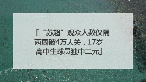 “苏超”观众人数仅隔两周破4万大关，17岁高中生球员独中二元
