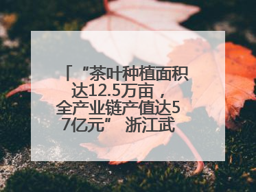 “茶叶种植面积达12.5万亩，全产业链产值达57亿元” 浙江武义茶产业全链发展“加速度”