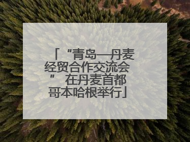 “青岛—丹麦经贸合作交流会” 在丹麦首都哥本哈根举行