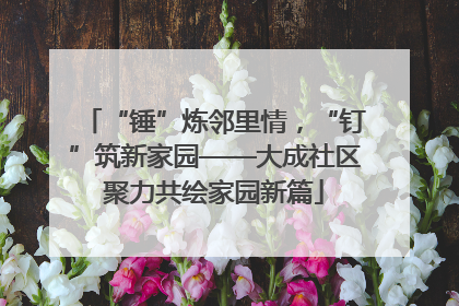 “锤”炼邻里情，“钉”筑新家园——大成社区聚力共绘家园新篇