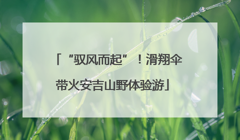 “驭风而起”！滑翔伞带火安吉山野体验游